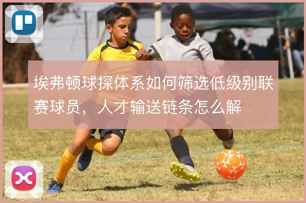 埃弗顿球探体系如何筛选低级别联赛球员，人才输送链条怎么解