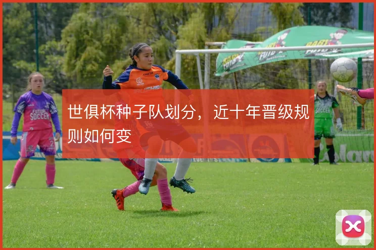 世俱杯种子队划分，近十年晋级规则如何变